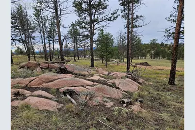 208 Eaglecrest Drive, Florissant, CO 80816 - Photo 22