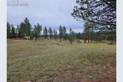 208 Eaglecrest Drive, Florissant, CO 80816 - Photo 28