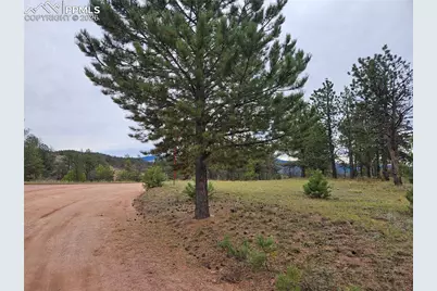 208 Eaglecrest Drive, Florissant, CO 80816 - Photo 30