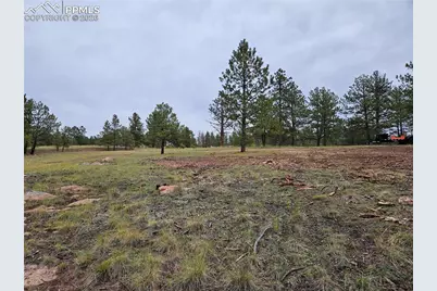 208 Eaglecrest Drive, Florissant, CO 80816 - Photo 20