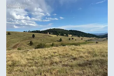 1100 Grumpy Burrow View, Cripple Creek, CO 80863 - Photo 4