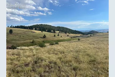 1100 Grumpy Burrow View, Cripple Creek, CO 80863 - Photo 2