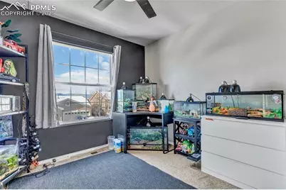 7037 Wood Lily Drive, Colorado Springs, CO 80923 - Photo 28