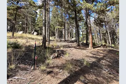 342 Ponderosa View, Manitou Springs, CO 80829 - Photo 14