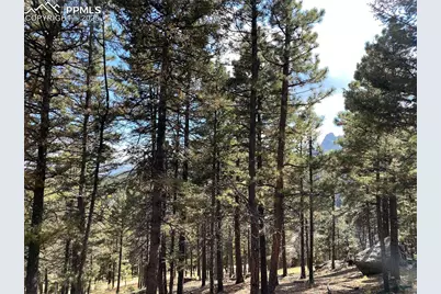 342 Ponderosa View, Manitou Springs, CO 80829 - Photo 8