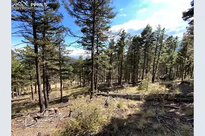 342 Ponderosa View, Manitou Springs, CO 80829 - Photo 4