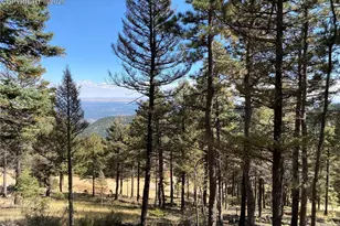 342 Ponderosa Vw, Manitou Springs, CO 80829 - Photo 1