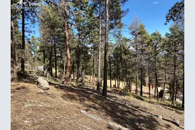 342 Ponderosa View, Manitou Springs, CO 80829 - Photo 16