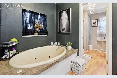 10025 Milne Road, Colorado Springs, CO 80928 - Photo 20