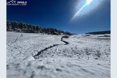 132 Wrangler Drive, Lake George, CO 80827 - Photo 6