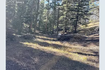 453 Homestead Drive, Woodland Park, CO 80863 - Photo 2