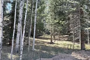 453 Homestead Dr, Woodland Park, CO 80863 - Photo 1