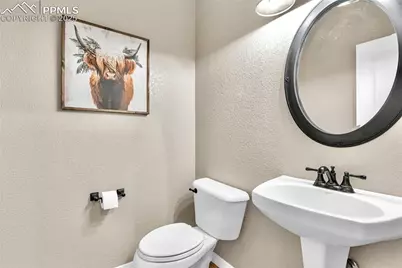 313 Milton Street, Palmer Lake, CO 80133 - Photo 18