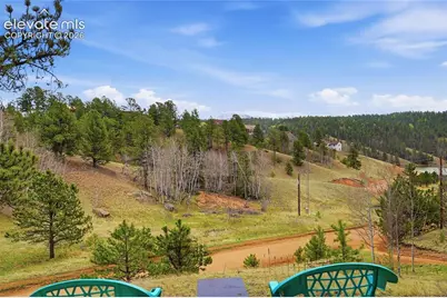 123 Granby Lake Way, Divide, CO 80814 - Photo 38