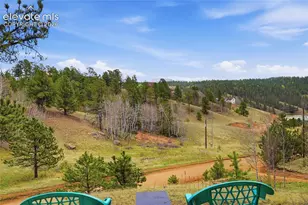 123 Granby Lake Way, Divide, CO 80814 - Photo 38