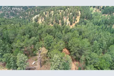 329 Paradiso Road, Divide, CO 80814 - Photo 8