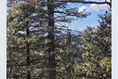 329 Paradiso Road, Divide, CO 80814 - Photo 12