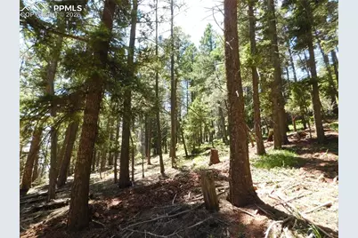 Lot 11 Woodmoor West Drive, Larkspur, CO 80118 - Photo 12