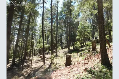 Lot 11 Woodmoor West Drive, Larkspur, CO 80118 - Photo 14