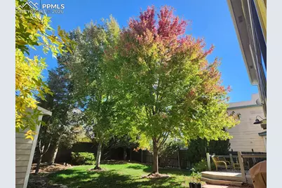 6005 Whirlwind Drive, Colorado Springs, CO 80923 - Photo 40