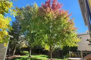 6005 Whirlwind Dr, Colorado Springs, CO 80923 - Photo 40