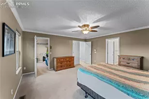 6005 Whirlwind Dr, Colorado Springs, CO 80923 - Photo 22