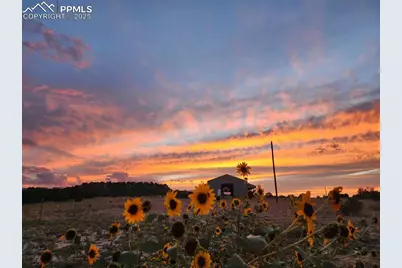 7490 Red Creek Springs Road, Pueblo, CO 81005 - Photo 24