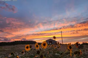 7490 Red Creek Springs Rd, Pueblo, CO 81005 - Photo 24