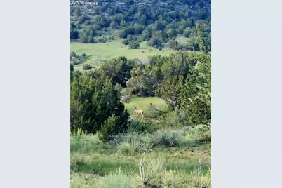 7490 Red Creek Springs Road, Pueblo, CO 81005 - Photo 28