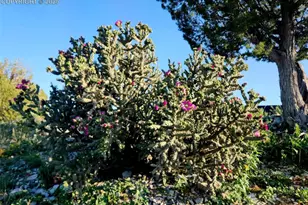 7490 Red Creek Springs Rd, Pueblo, CO 81005 - Photo 34