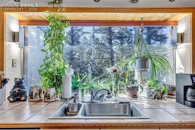 191 Nuaku Road, Florissant, CO 80816 - Photo 12