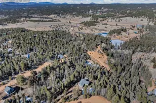 191 Nuaku Rd, Florissant, CO 80816 - Photo 38