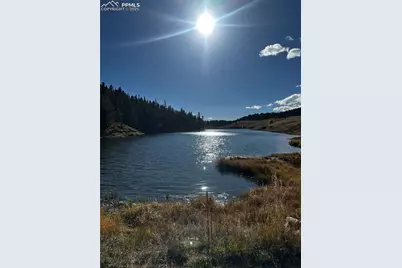 458 Spruce Lake Drive, Divide, CO 80814 - Photo 2