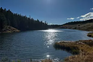 458 Spruce Lake Dr, Divide, CO 80814 - Photo 2