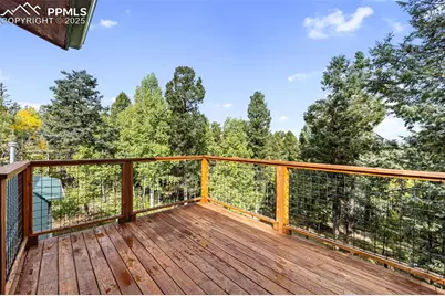 458 Spruce Lake Drive, Divide, CO 80814 - Photo 20