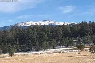 901 Wilson Dr, Florissant, CO 80816 - Photo 40