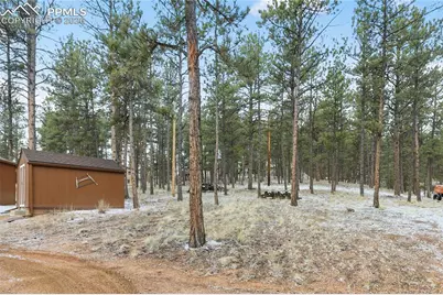 901 Wilson Drive, Florissant, CO 80816 - Photo 30