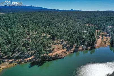 901 Wilson Drive, Florissant, CO 80816 - Photo 36