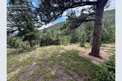 254 Grand Horizon View, Manitou Springs, CO 80829 - Photo 20