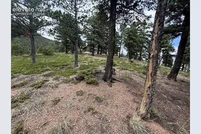 254 Grand Horizon View, Manitou Springs, CO 80829 - Photo 16