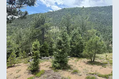254 Grand Horizon View, Manitou Springs, CO 80829 - Photo 24