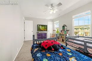 7383 Little Jimmy Grove, Fountain, CO 80817 - Photo 20