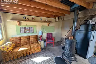 163 Cutthroat Dr, Lake George, CO 80827 - Photo 10