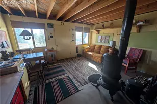 163 Cutthroat Dr, Lake George, CO 80827 - Photo 8