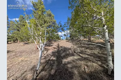163 Cutthroat Drive, Lake George, CO 80827 - Photo 28