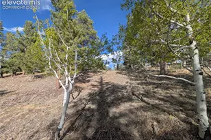 163 Cutthroat Dr, Lake George, CO 80827 - Photo 28