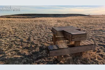 16830 Finch Road, Colorado Springs, CO 80928 - Photo 50