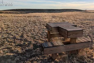 16830 Finch Rd, Colorado Springs, CO 80928 - Photo 50