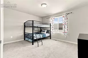 2382 Pelican Bay Dr, Monument, CO 80132 - Photo 34