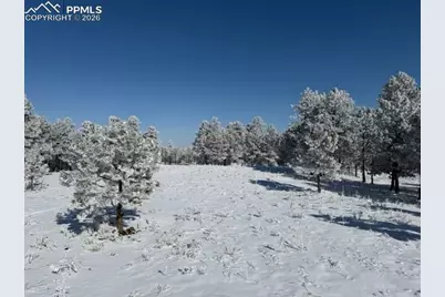 12196 Goodson Road, Colorado Springs, CO 80908 - Photo 4